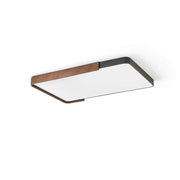 Orren Minimalist Acrylic Ceiling Light