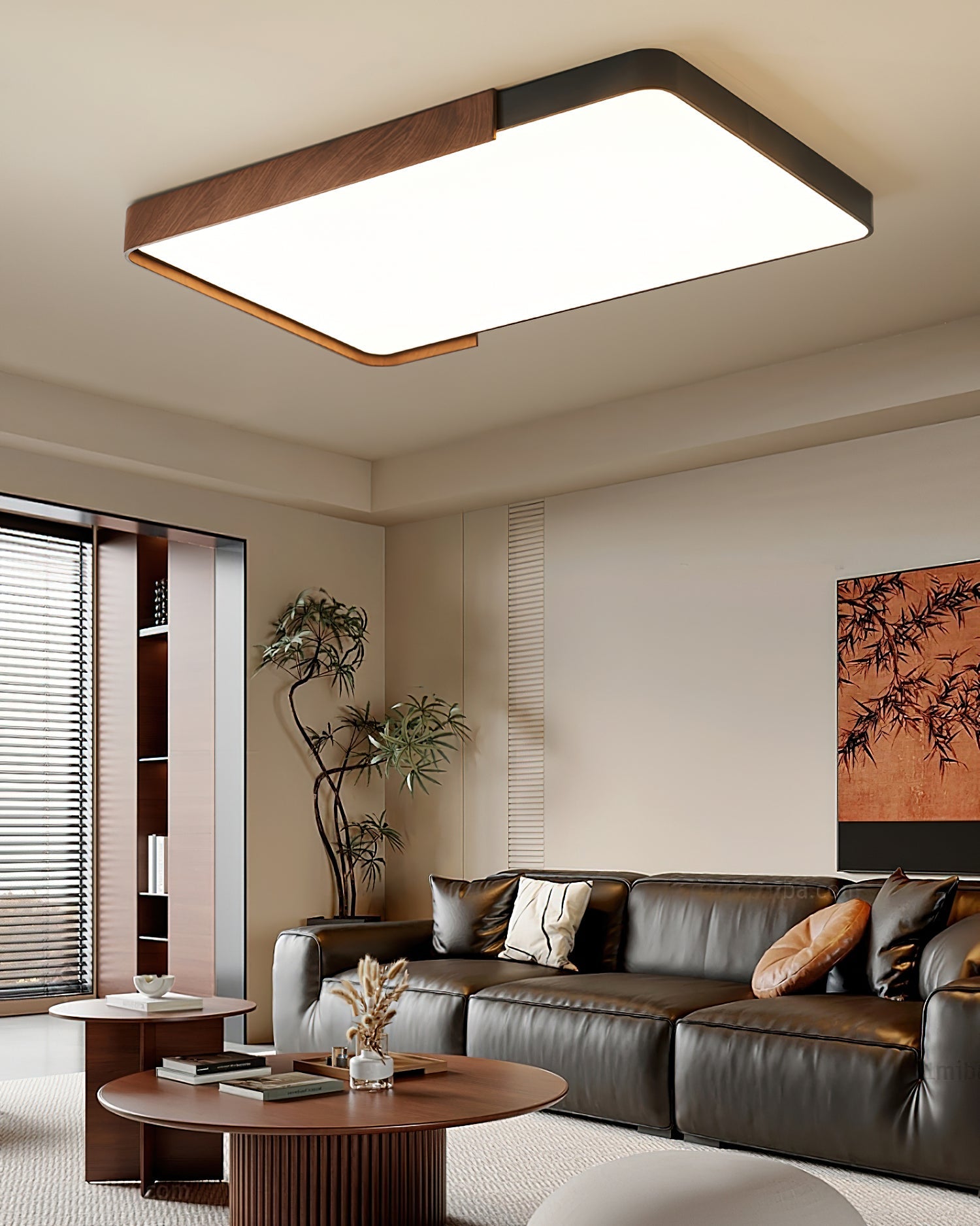 Orren Minimalist Acrylic Ceiling Light