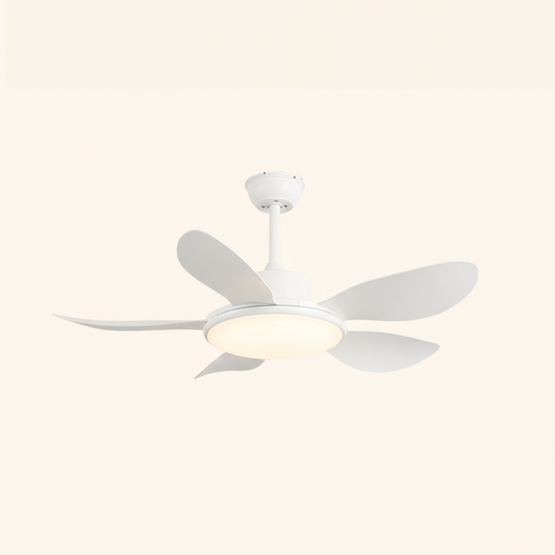 Ovlaim Modern ABS Ceiling Fan Light