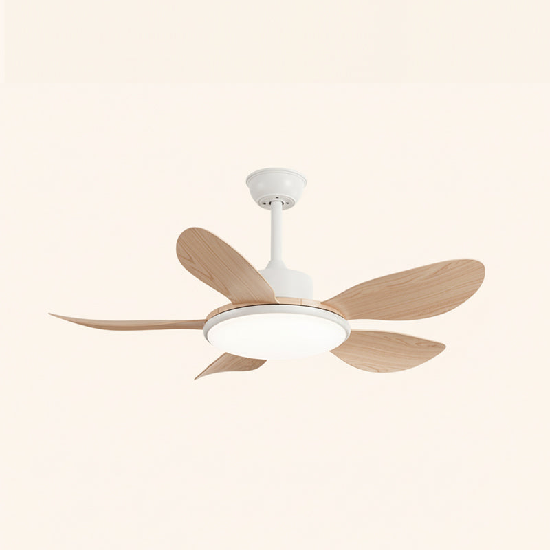 Ovlaim Modern ABS Ceiling Fan Light