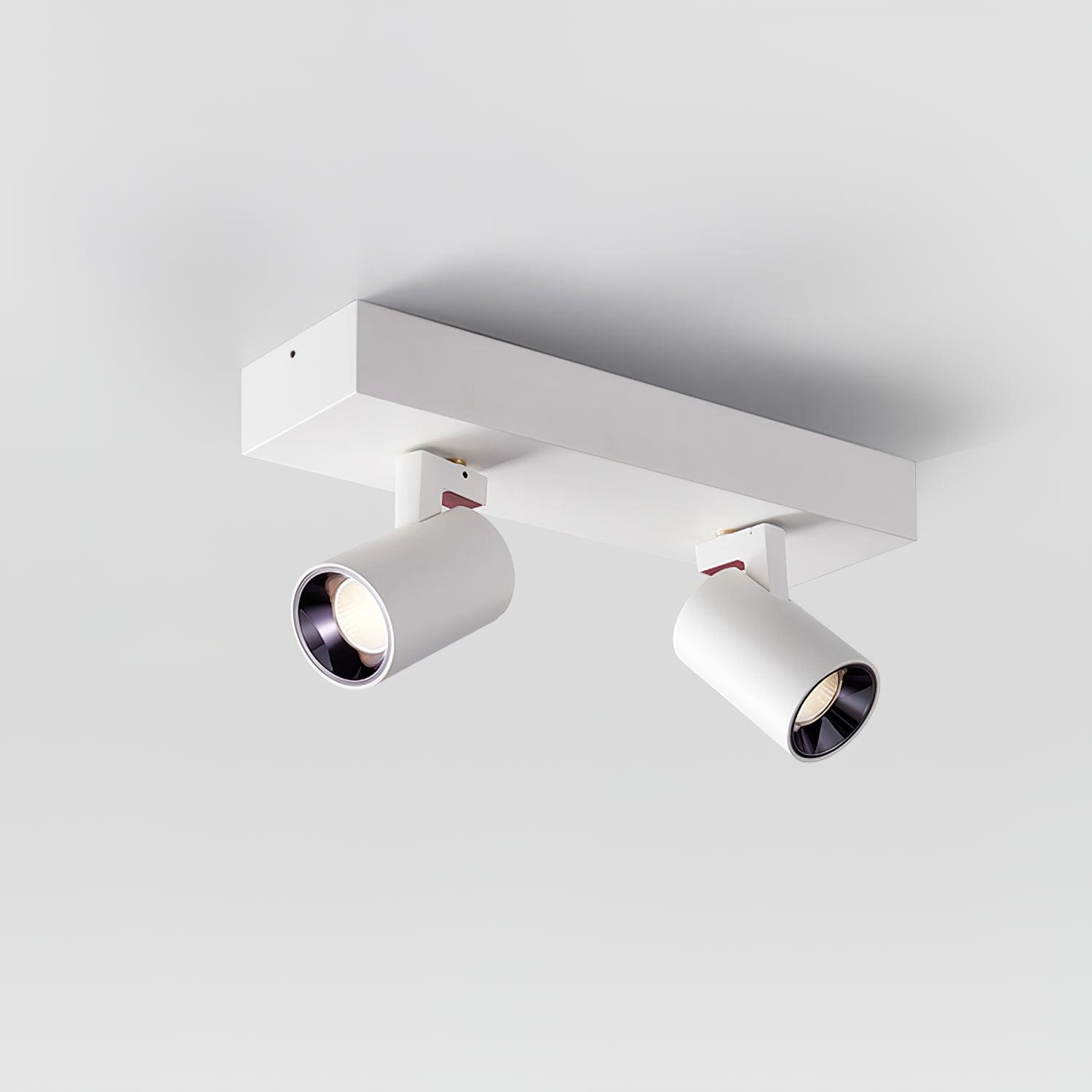 POG Double Linear Spotlight - Blowlighting