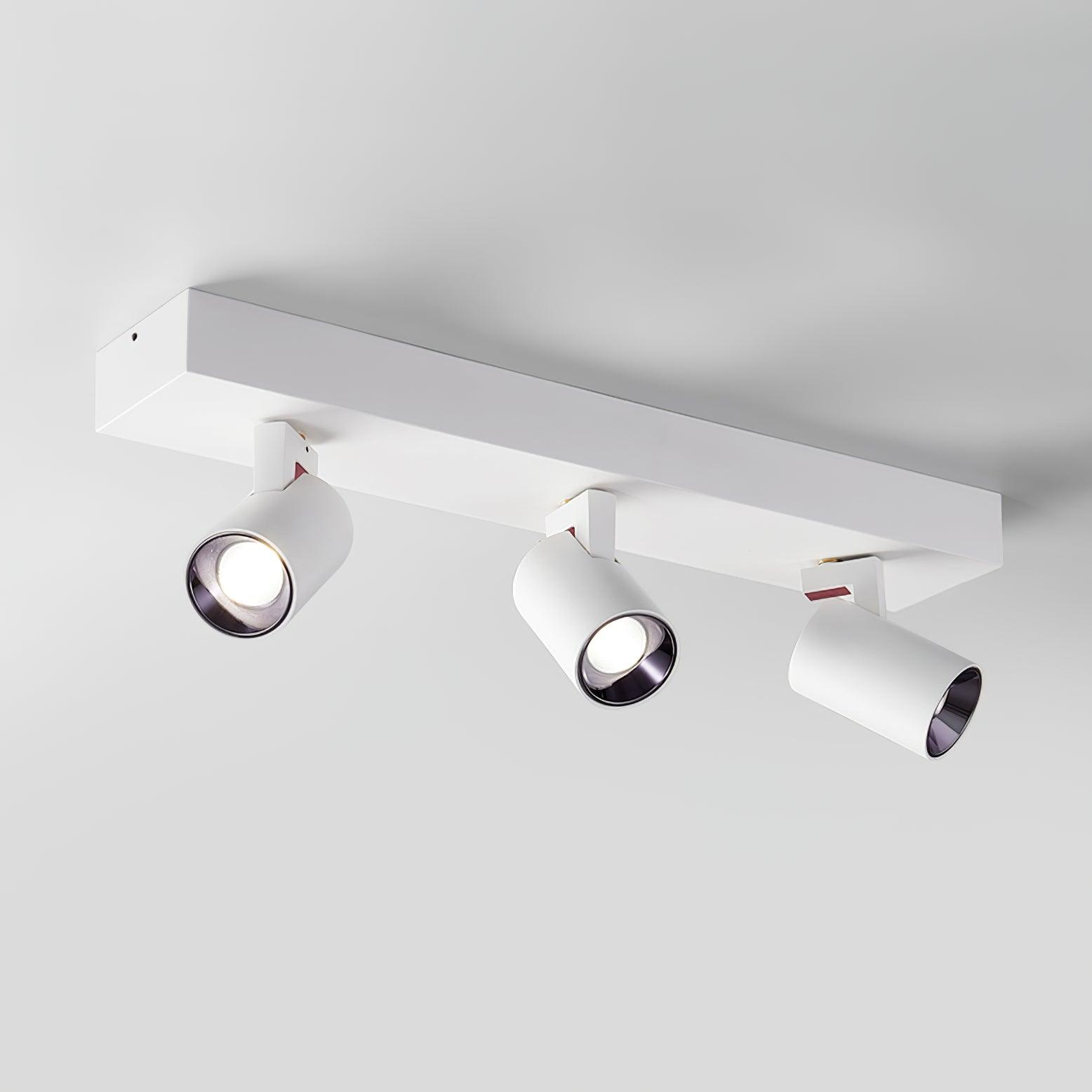 POG Double Linear Spotlight - Blowlighting