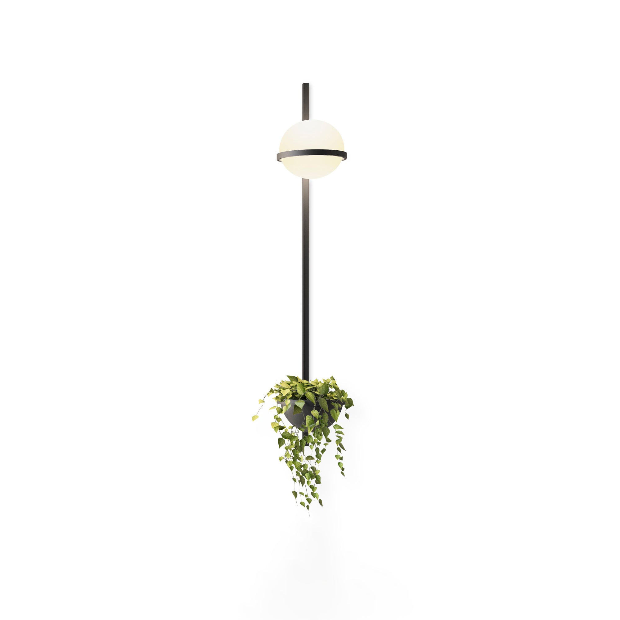 Ray Indoor Outdoor Wall Light - Blowlighting