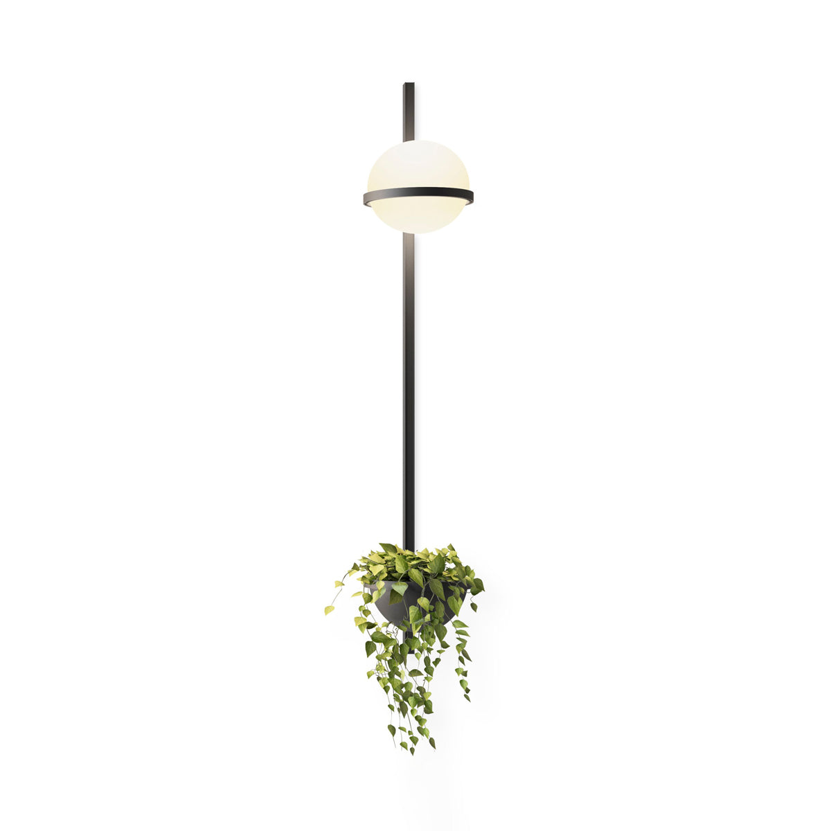 Ray Indoor Outdoor Wall Light - Blowlighting
