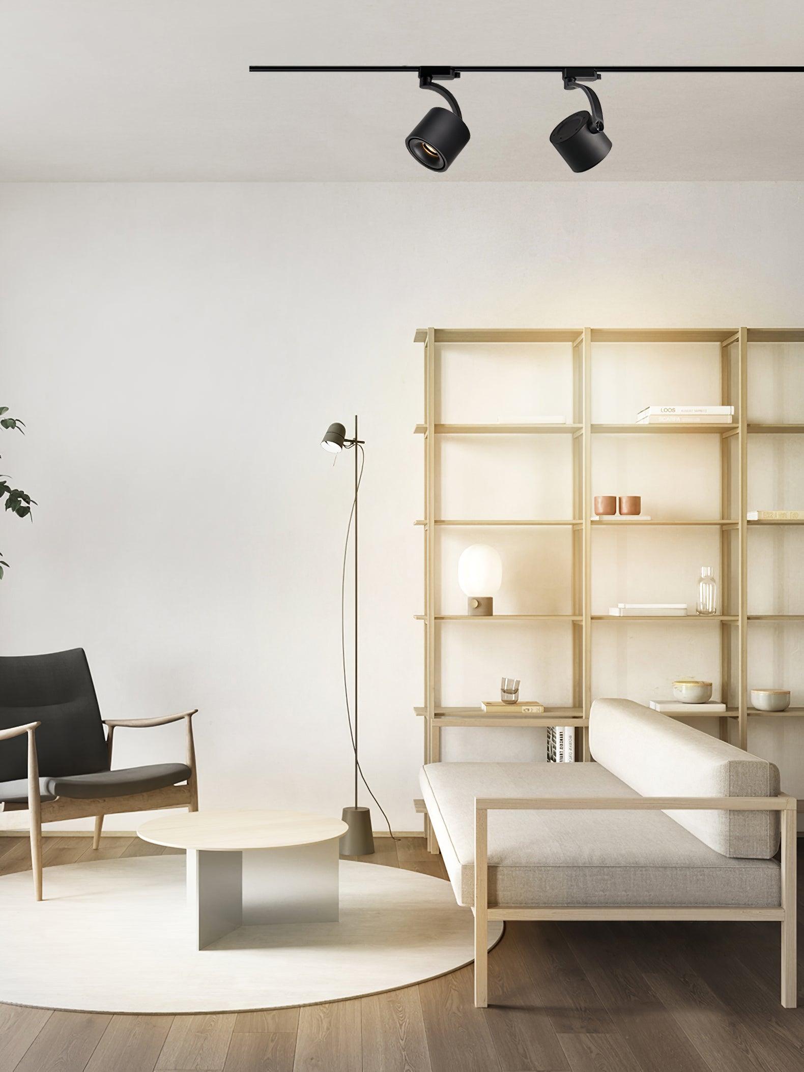 Paloma Ceiling Light - Blowlighting