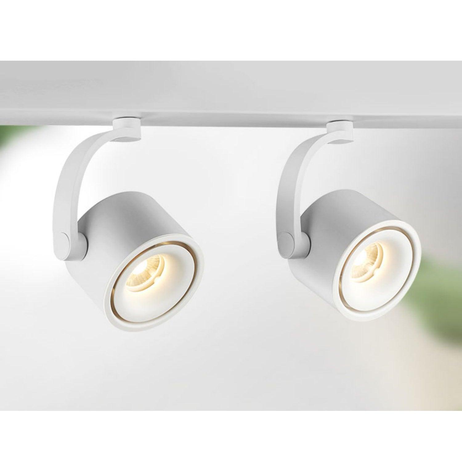 Paloma Ceiling Light - Blowlighting