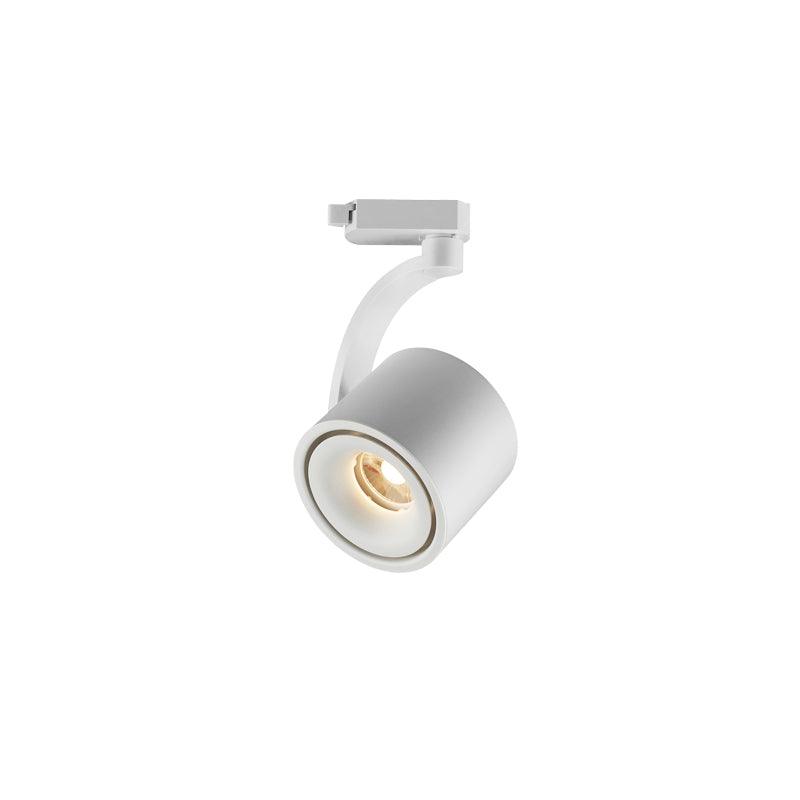 Paloma Ceiling Light - Blowlighting