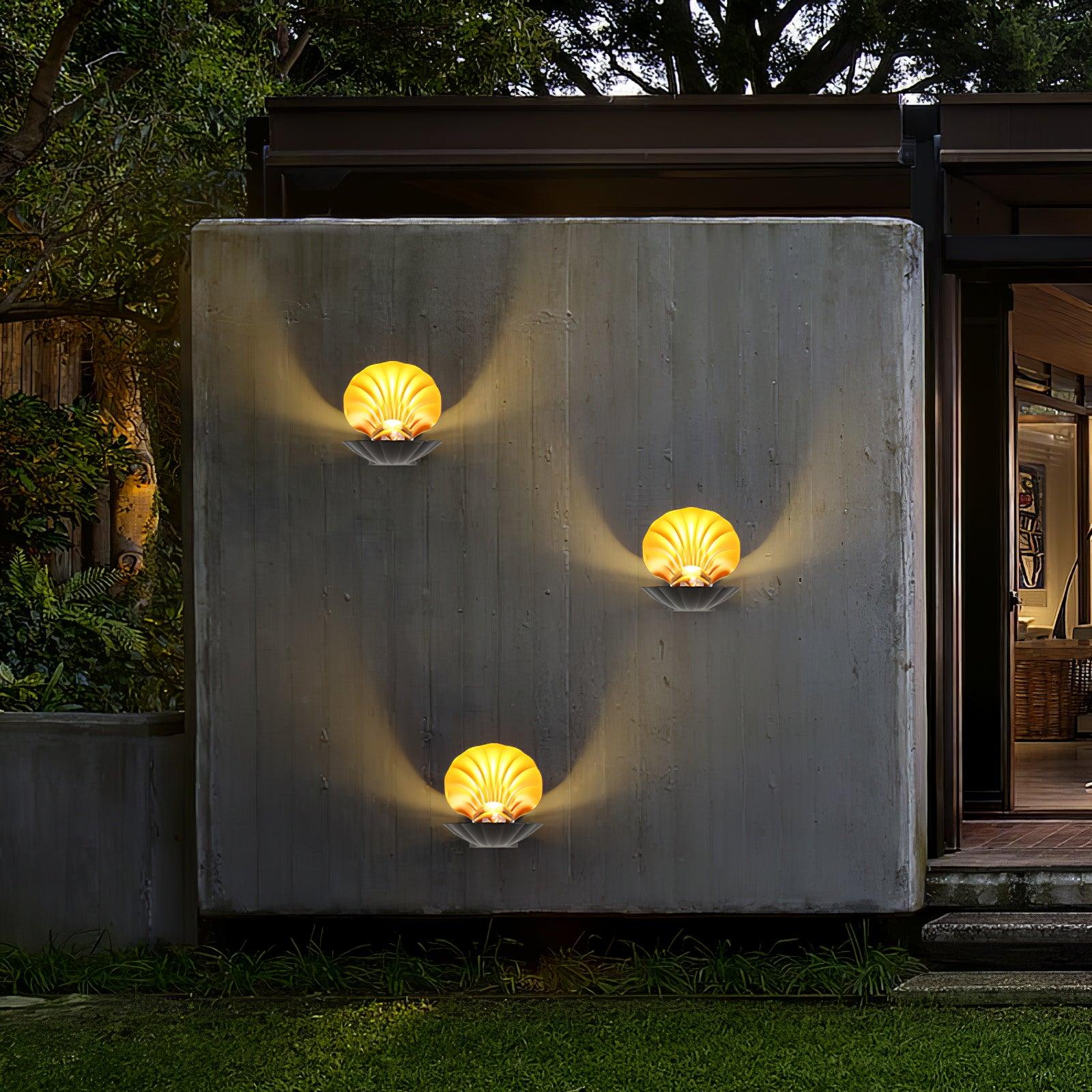 Pearl Clam Wall Light - Blowlighting