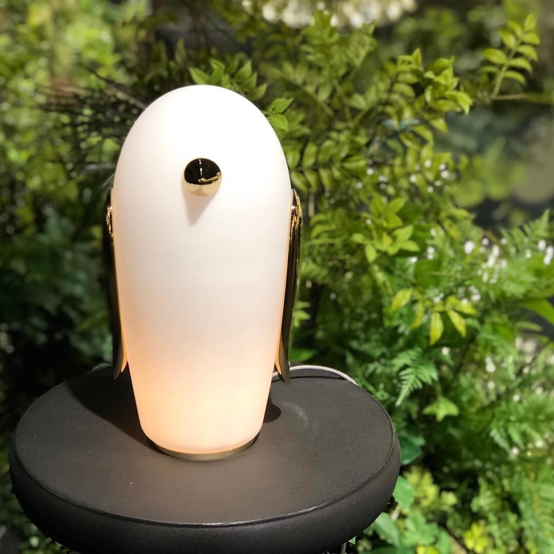 Pet Desk Light - Blowlighting