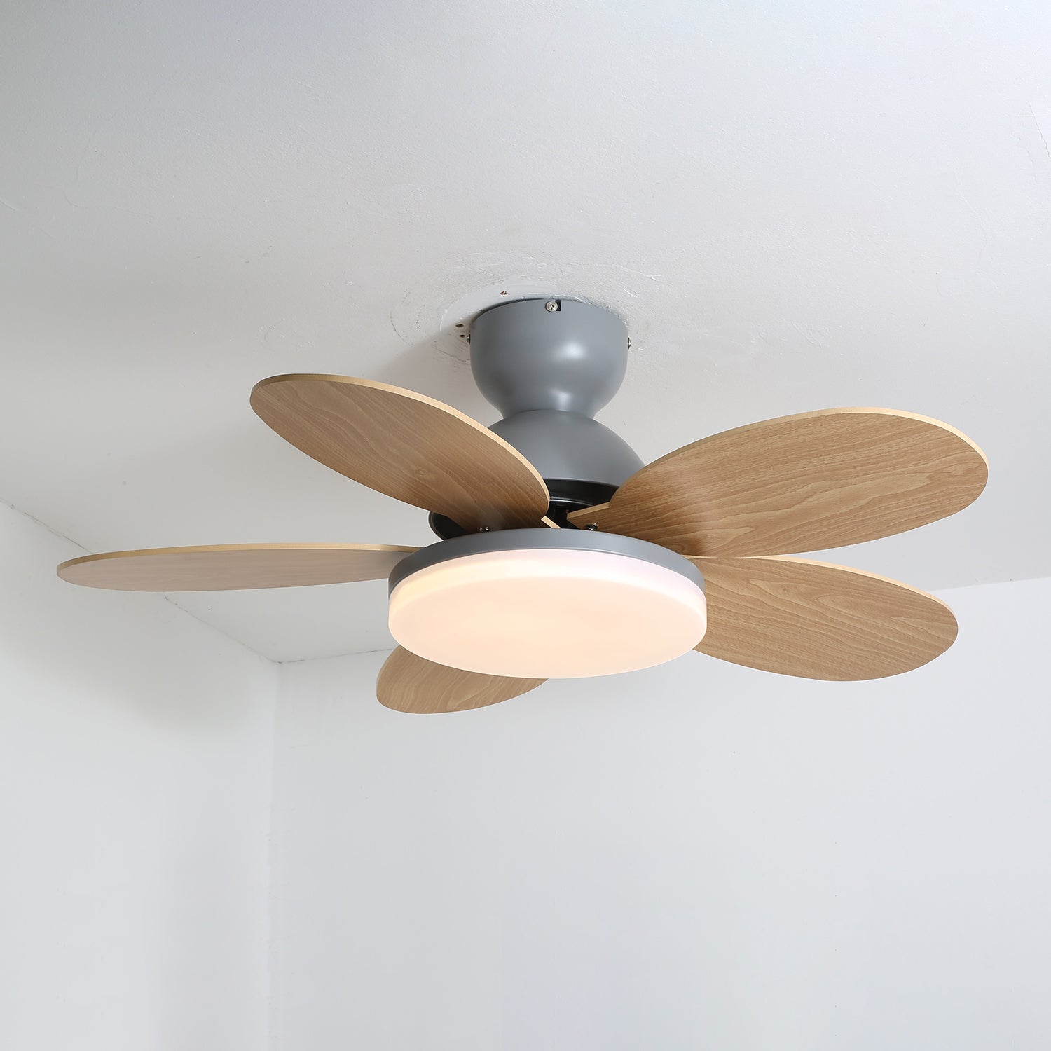 Liora Colorful Glass Kids Ceiling Fan Light - Blowlighting