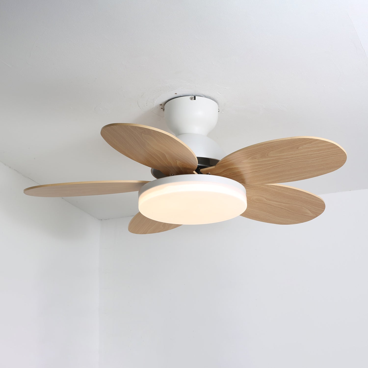 Liora Colorful Glass Kids Ceiling Fan Light - Blowlighting