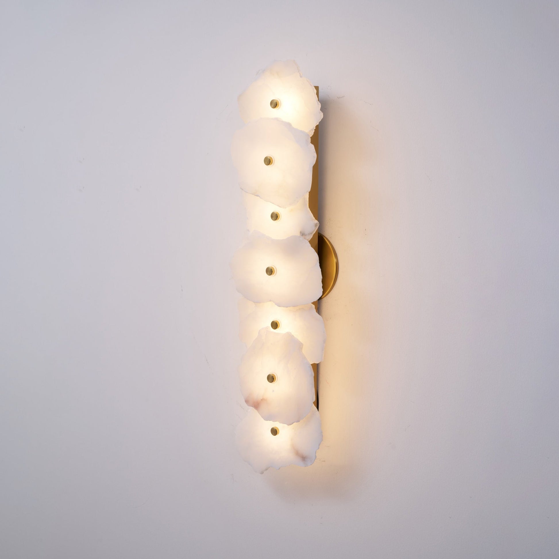 Alaeila Floral Cluster Alabaster Wall Light - Blowlighting