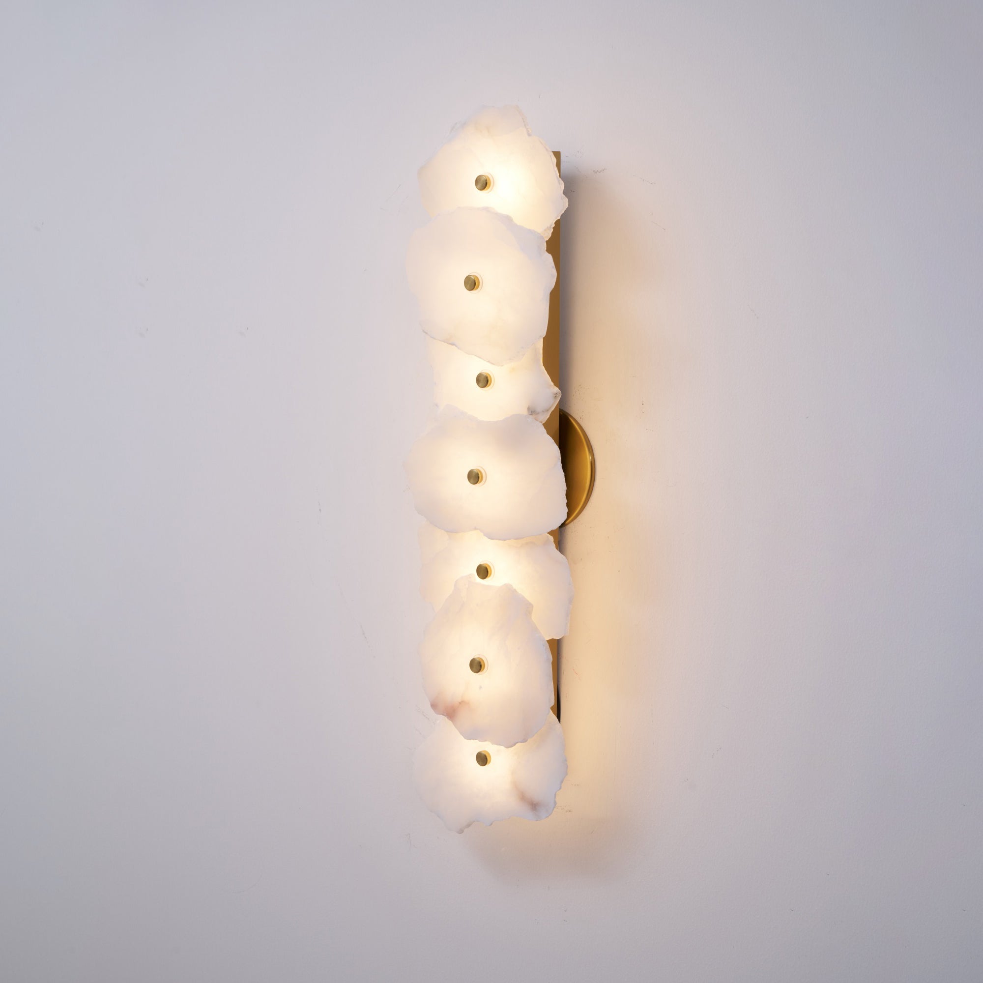Alaeila Floral Cluster Alabaster Wall Light - Blowlighting