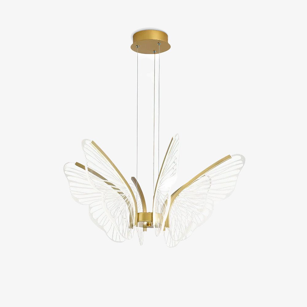 Phalaenopsis Chandelier - Blowlighting