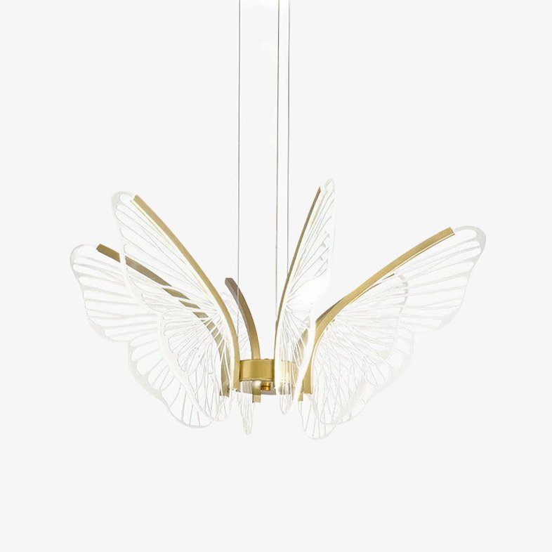 Phalaenopsis Chandelier - Blowlighting