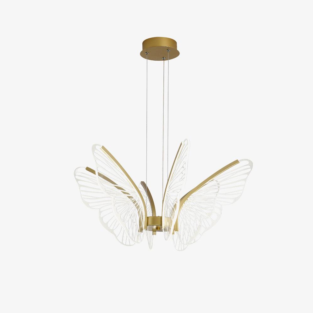 Phalaenopsis Chandelier - Blowlighting