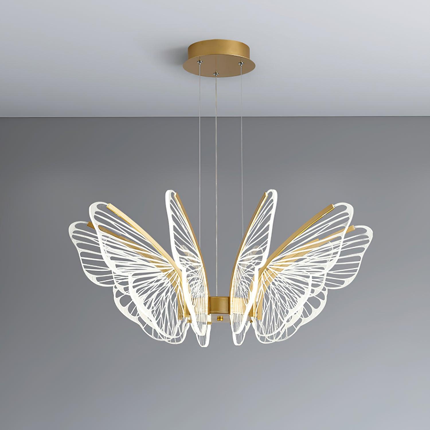 Phalaenopsis Chandelier - Blowlighting