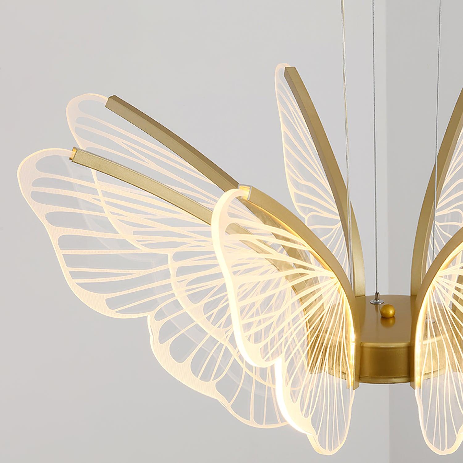 Phalaenopsis Chandelier - Blowlighting