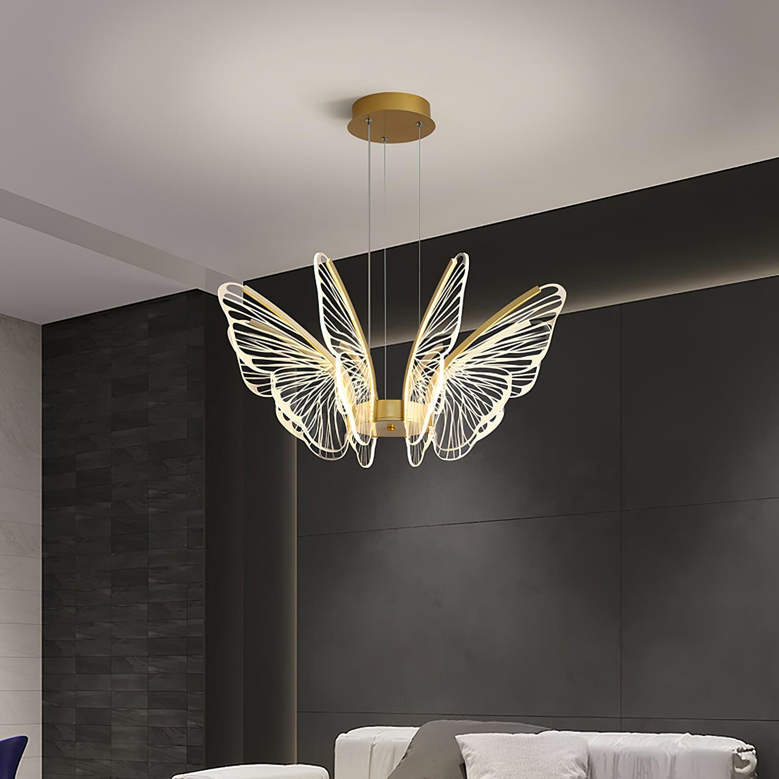 Phalaenopsis Chandelier - Blowlighting