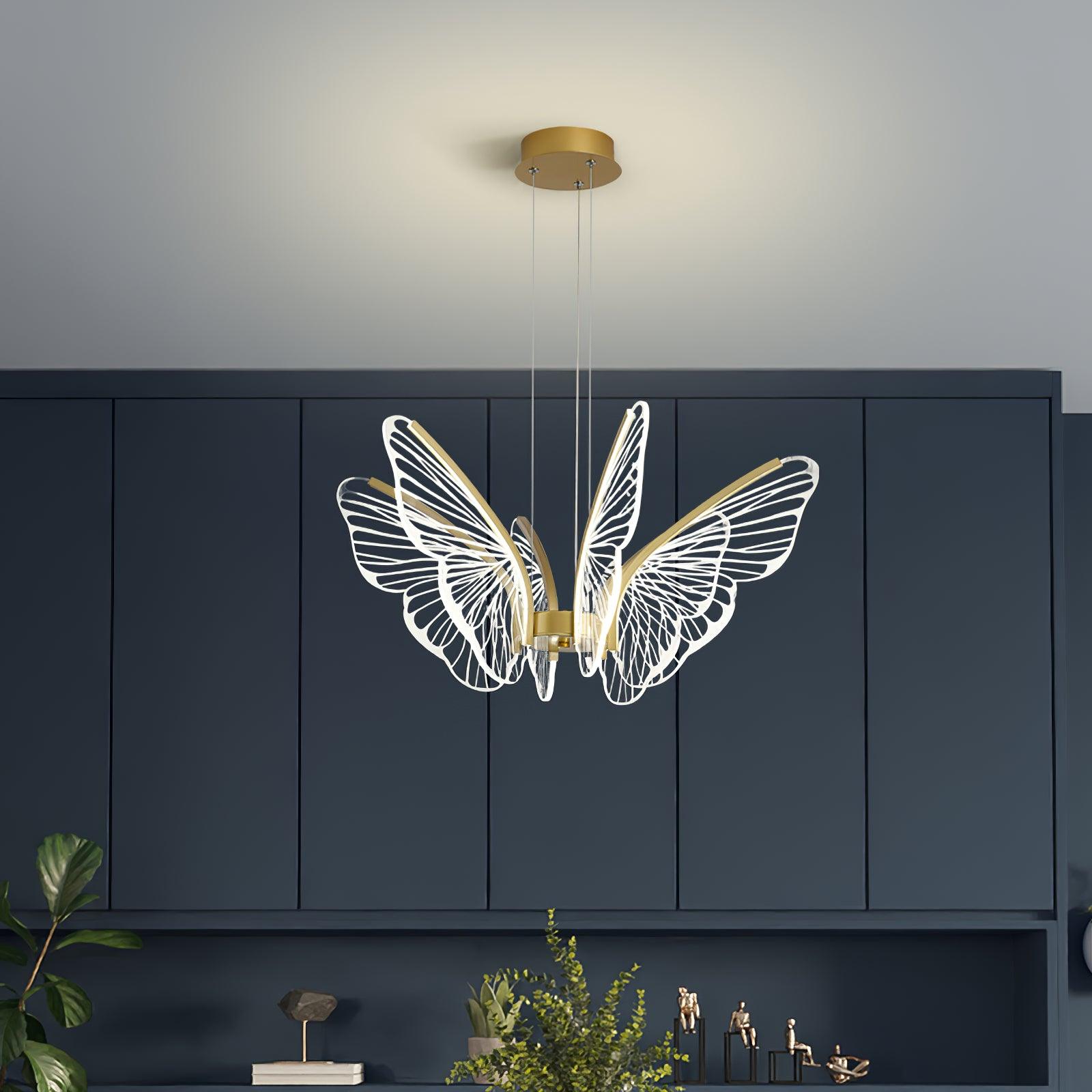 Phalaenopsis Chandelier - Blowlighting