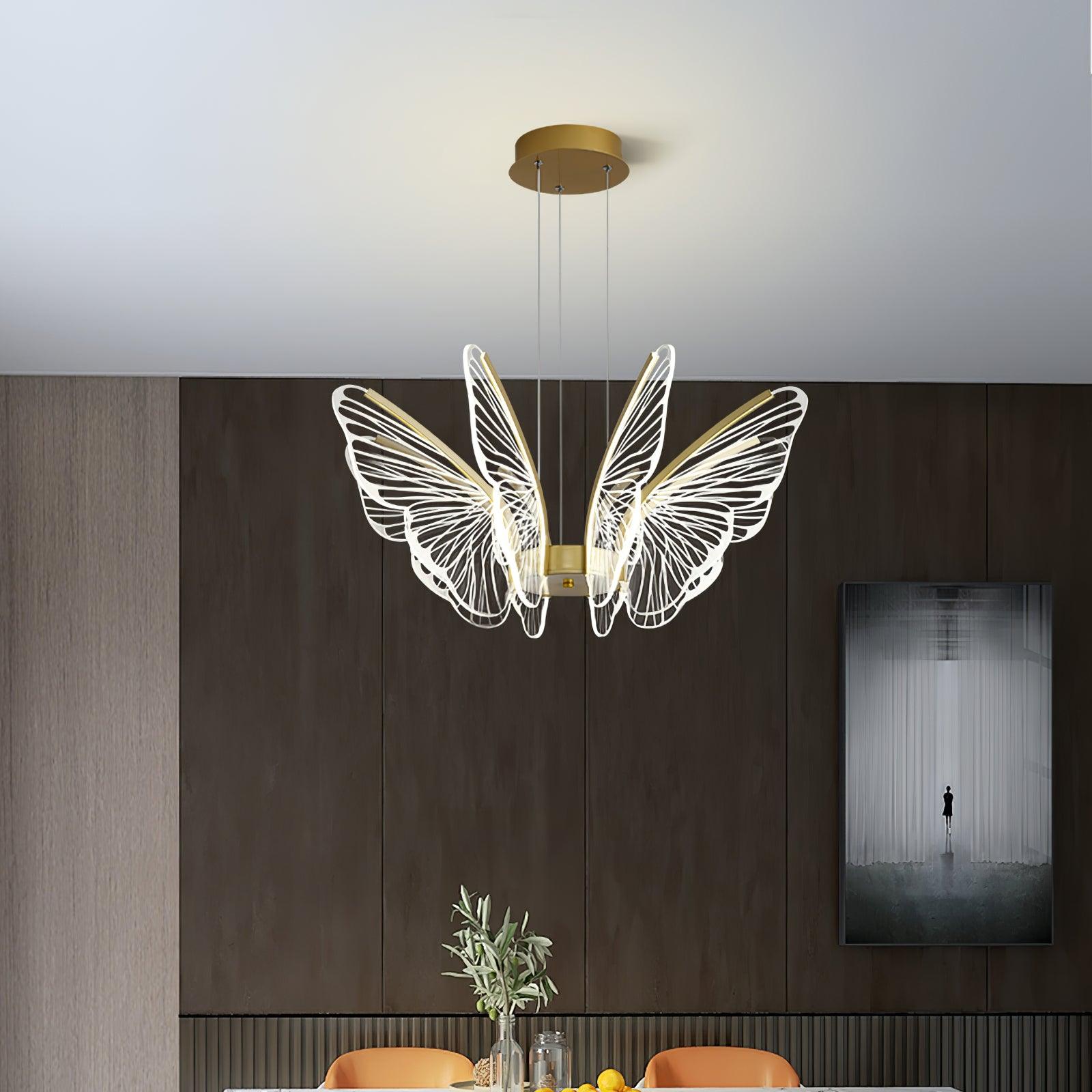 Phalaenopsis Chandelier - Blowlighting