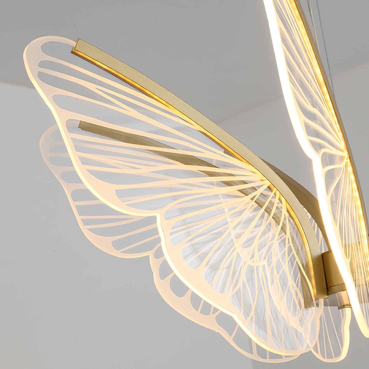 Phalaenopsis Chandelier - Blowlighting