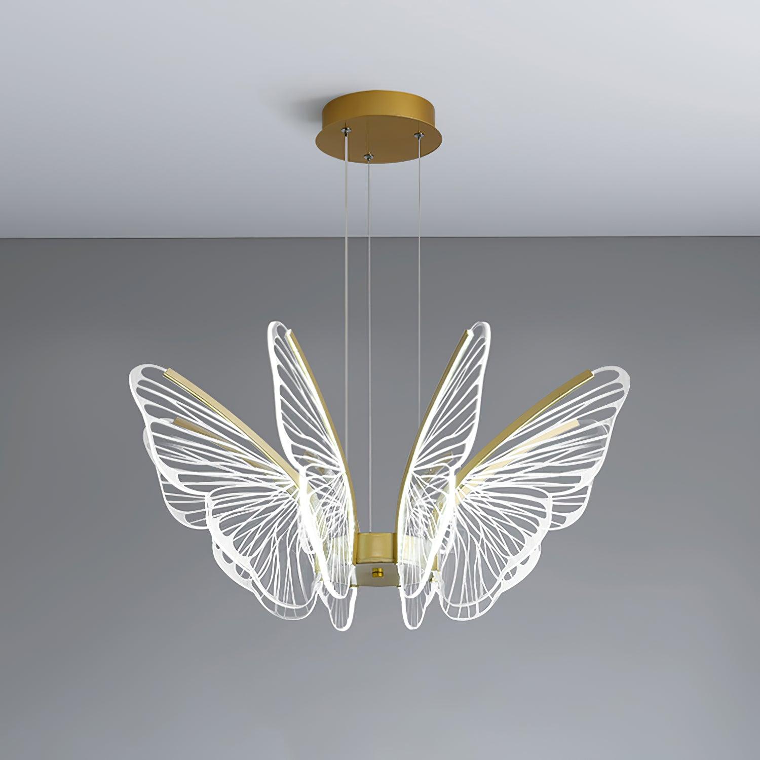 Phalaenopsis Chandelier - Blowlighting