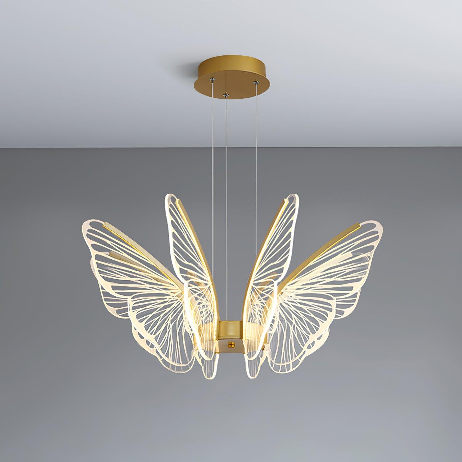 Phalaenopsis Chandelier - Blowlighting