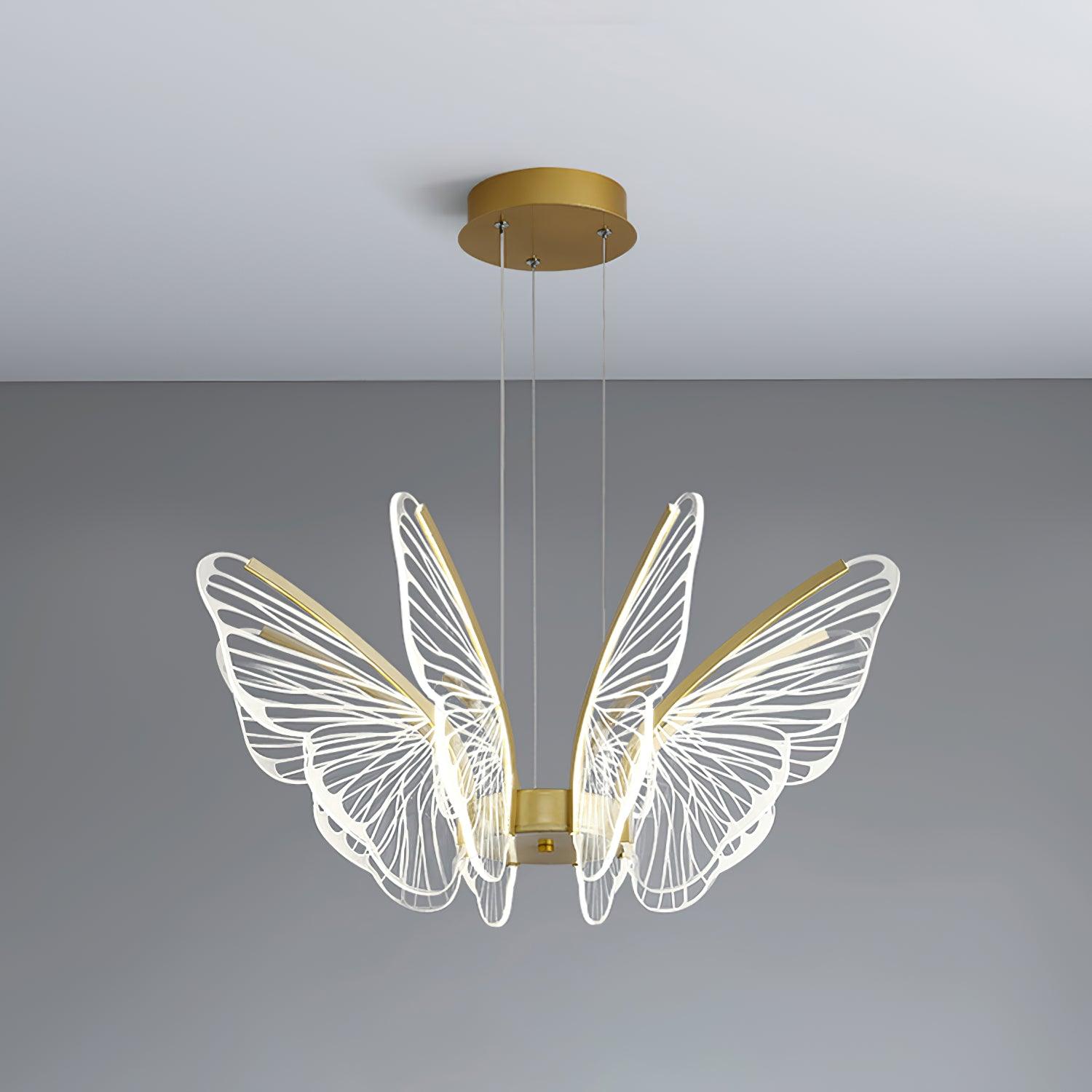 Phalaenopsis Chandelier - Blowlighting