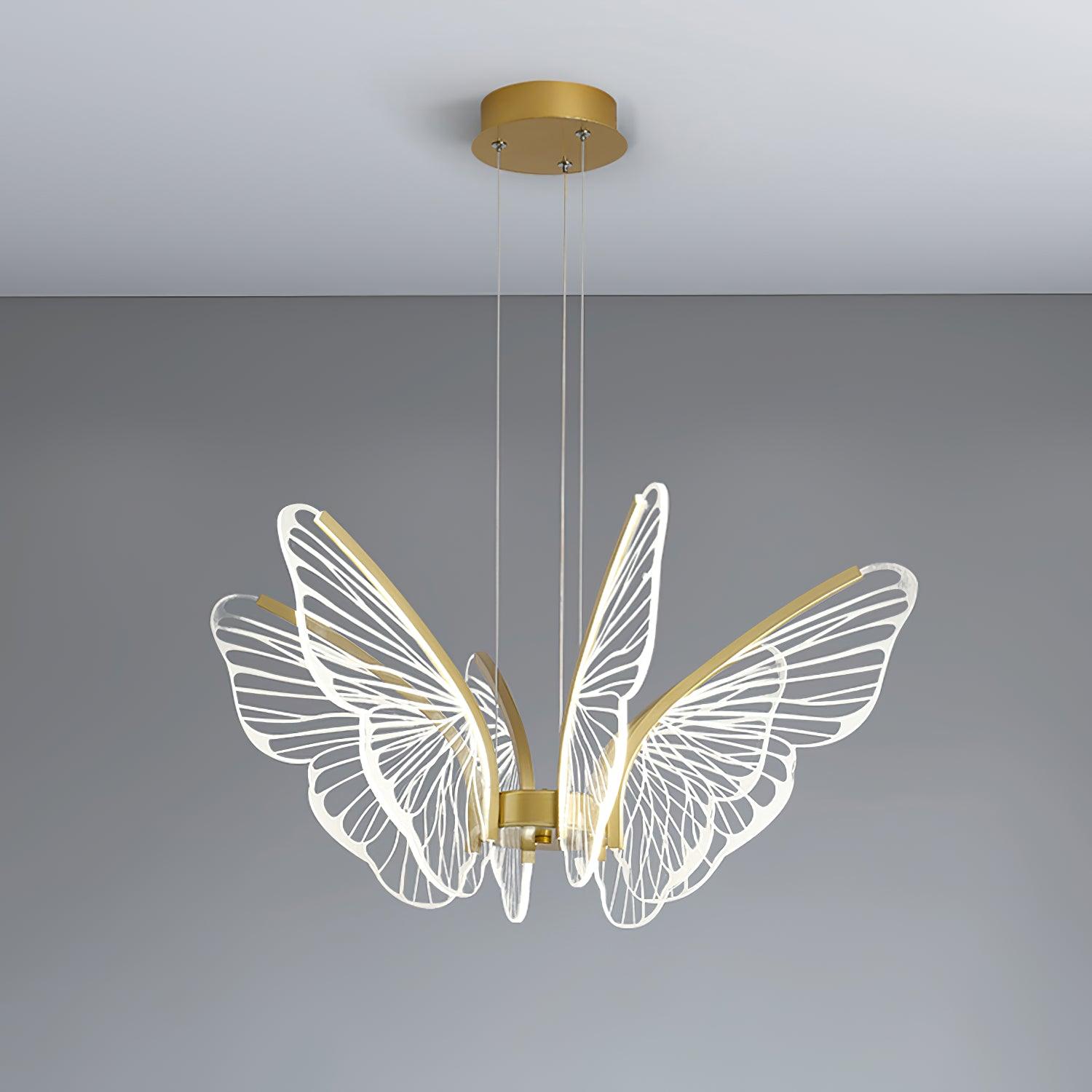 Phalaenopsis Chandelier - Blowlighting