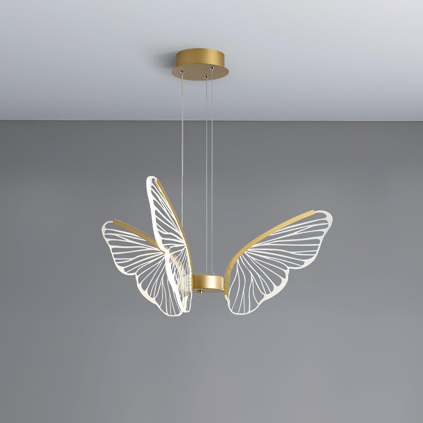 Phalaenopsis Chandelier - Blowlighting