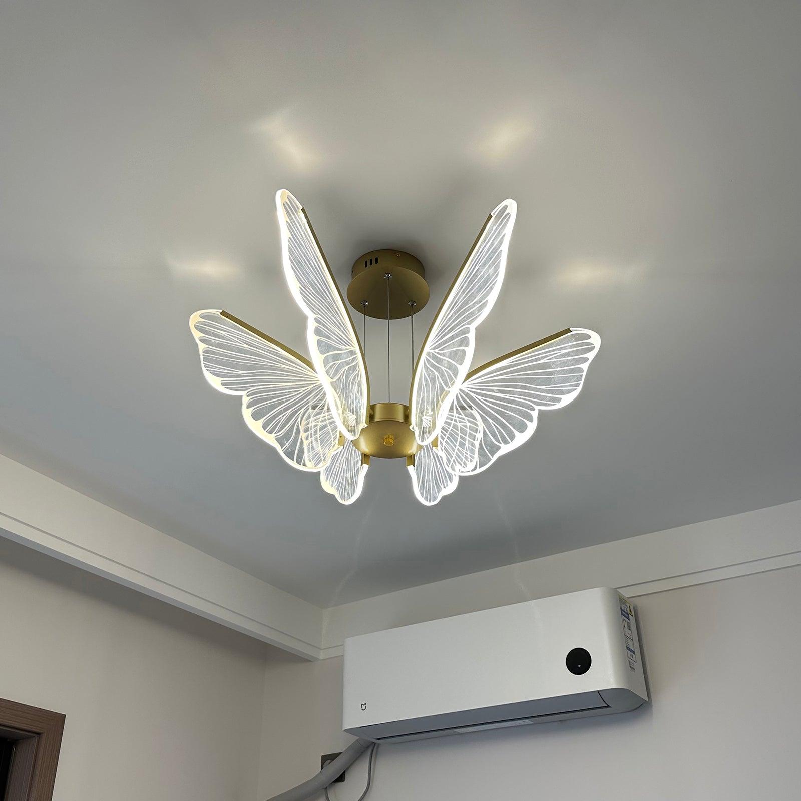 Phalaenopsis Chandelier - Blowlighting