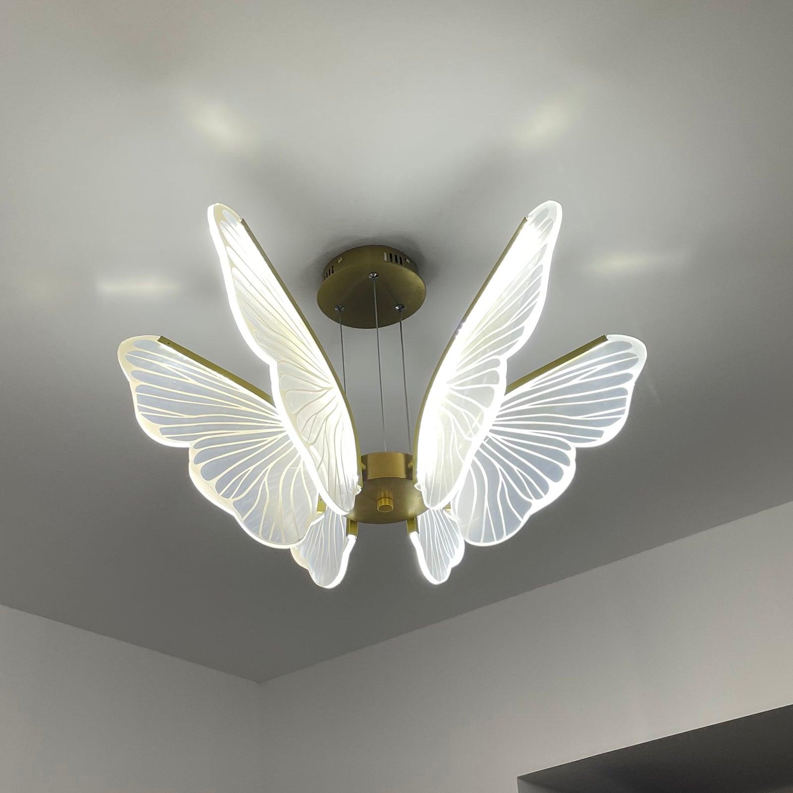 Phalaenopsis Chandelier - Blowlighting