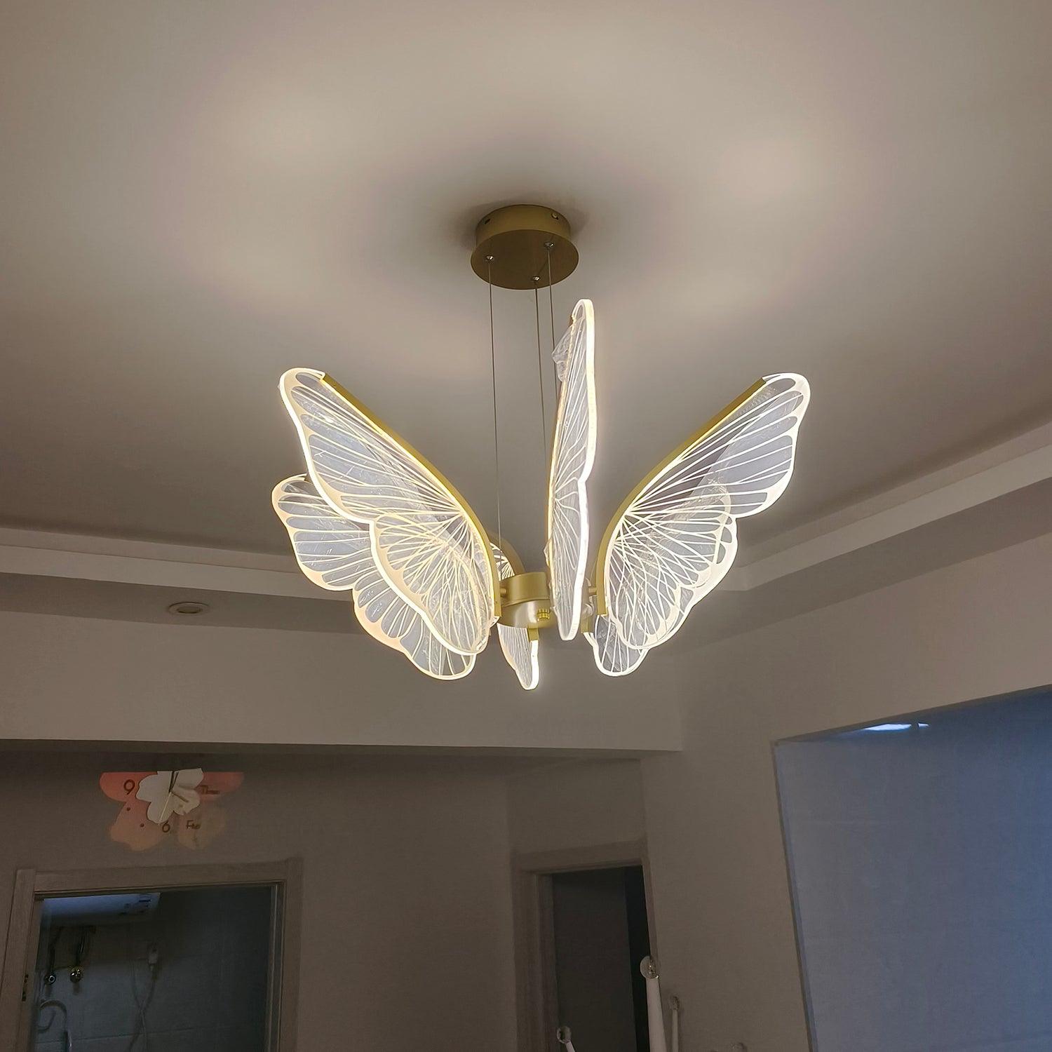 Phalaenopsis Chandelier - Blowlighting