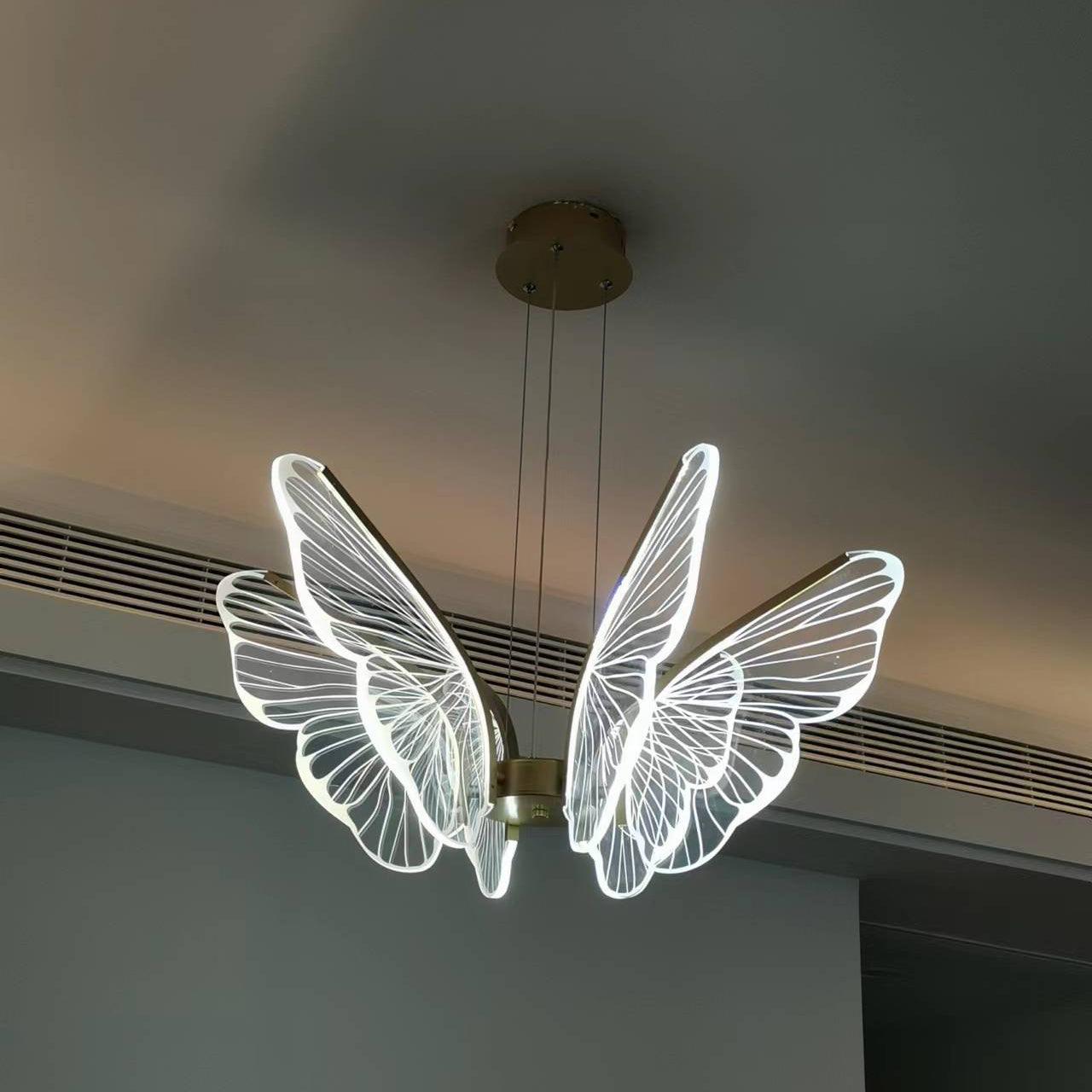 Phalaenopsis Chandelier - Blowlighting