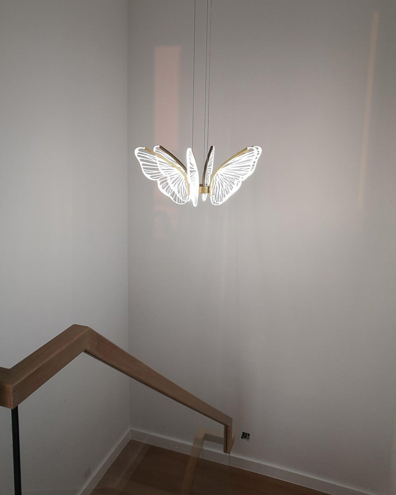 Phalaenopsis Chandelier - Blowlighting