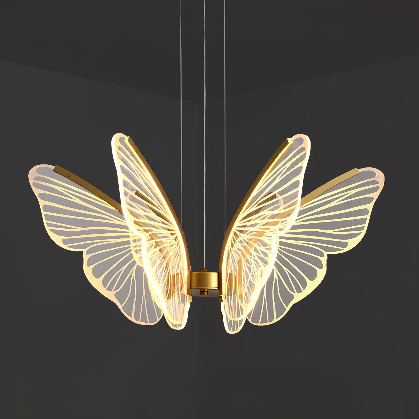 Phalaenopsis Chandelier - Blowlighting
