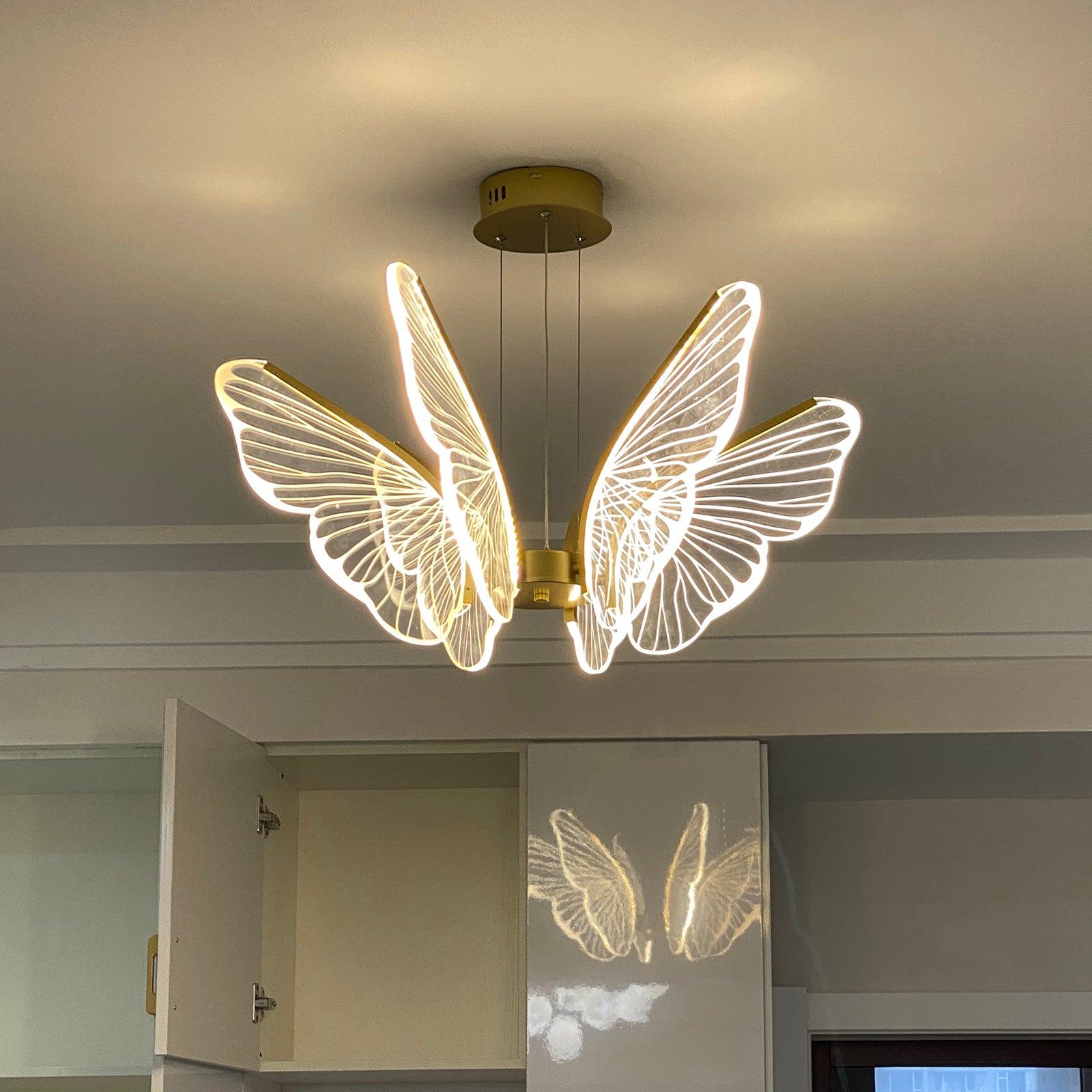 Phalaenopsis Chandelier - Blowlighting