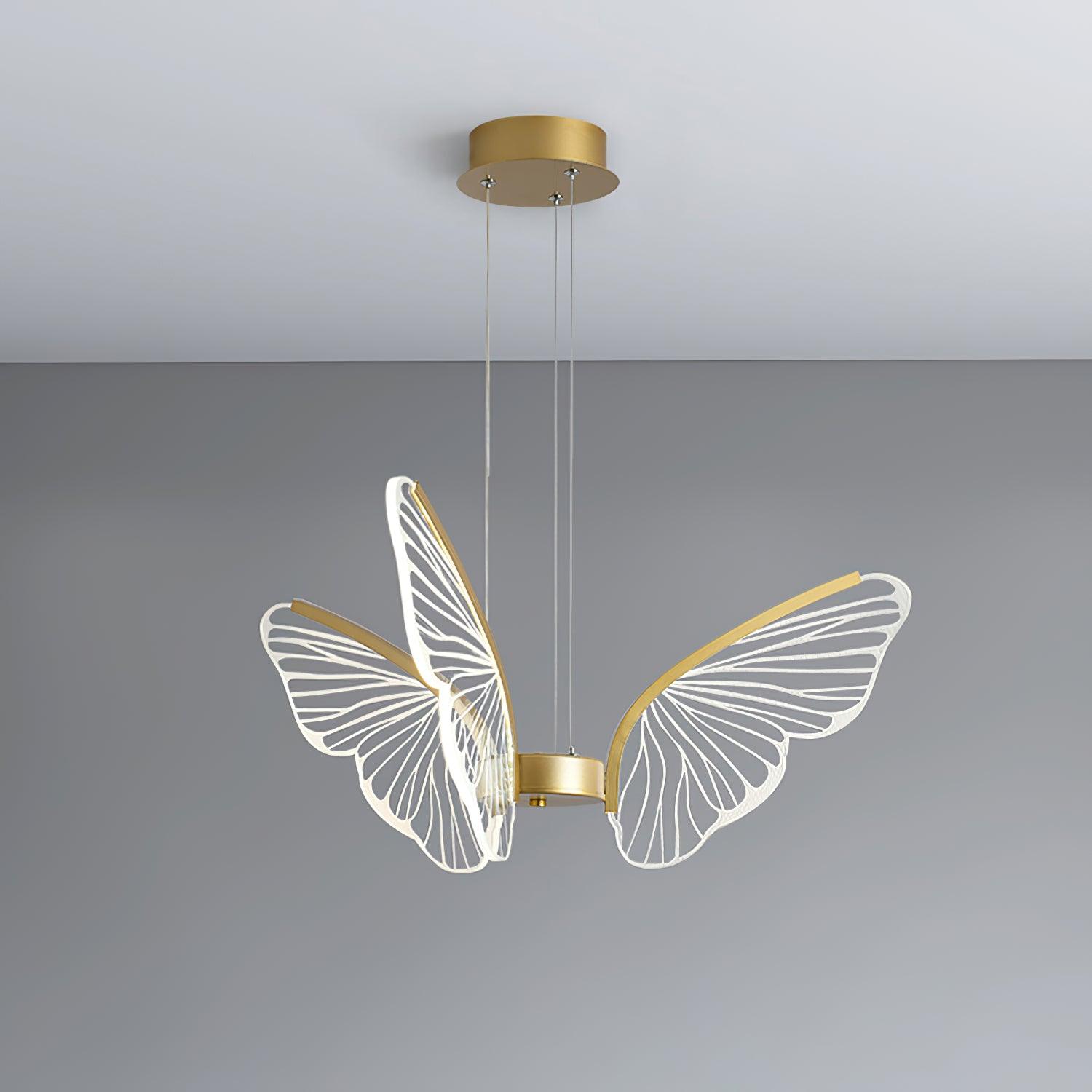 Phalaenopsis Chandelier - Blowlighting