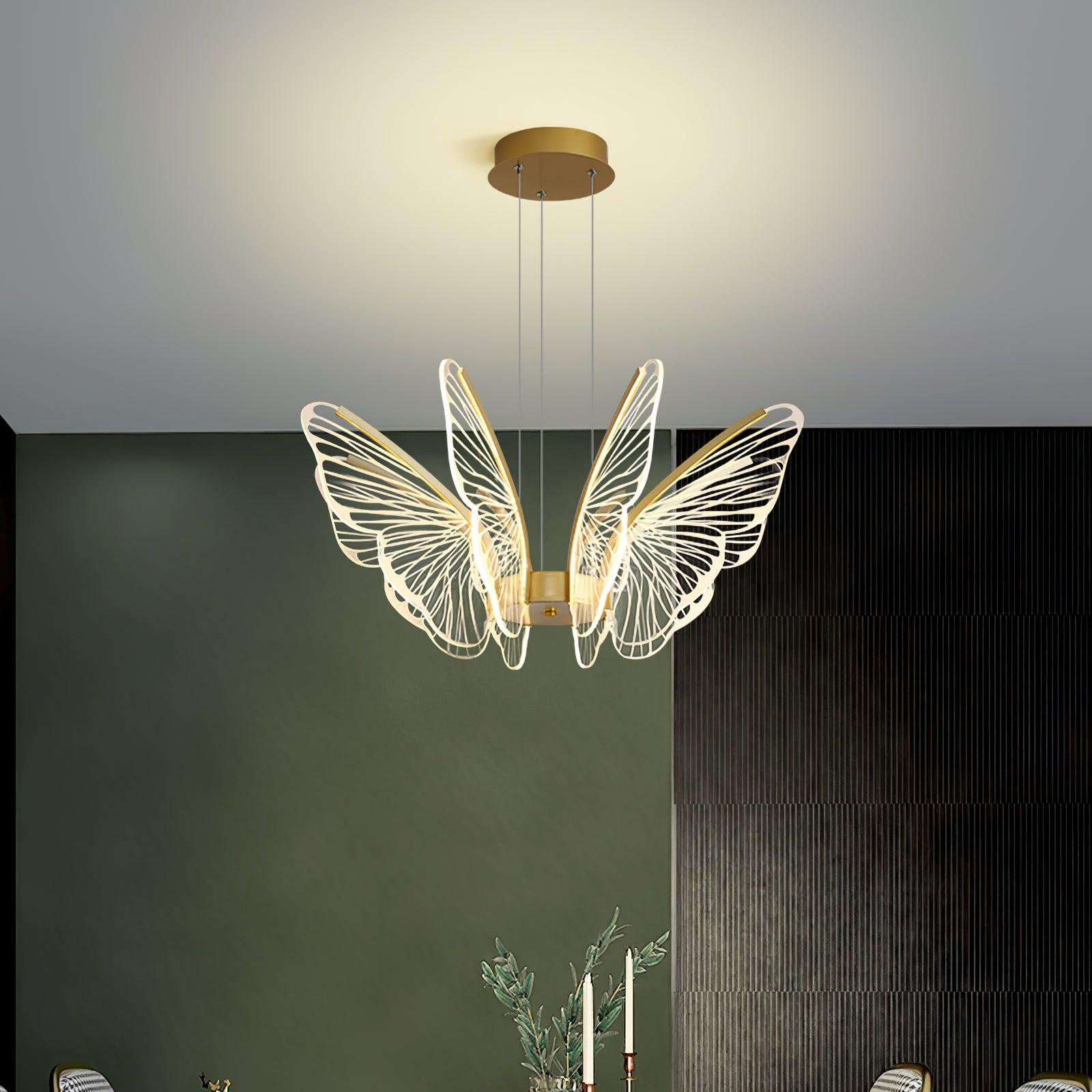 Phalaenopsis Chandelier - Blowlighting