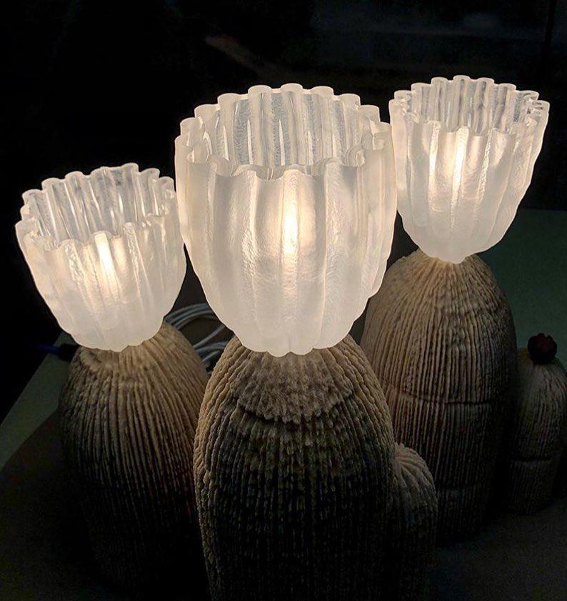 RBS Cactus Lamp - Blowlighting