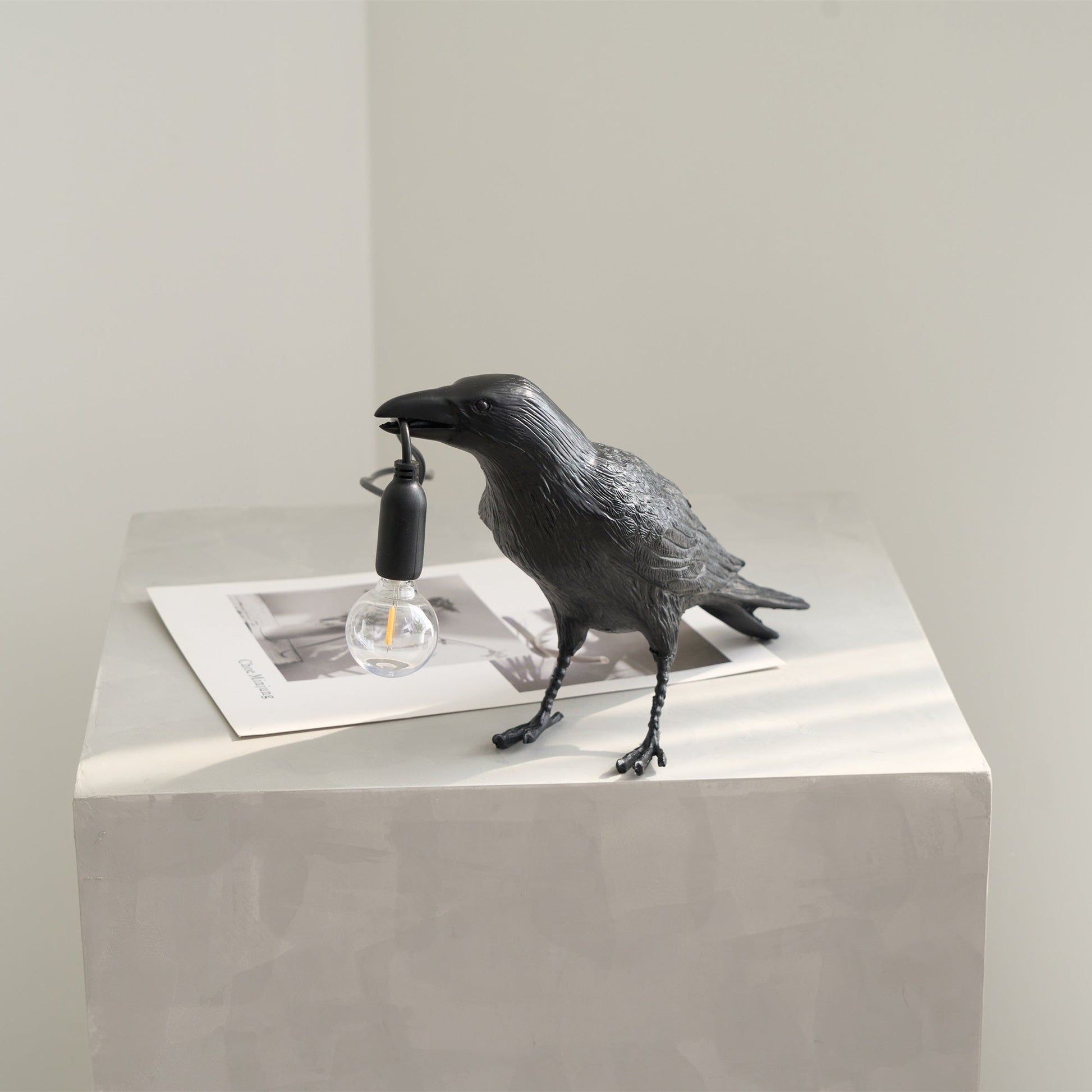 Raven Resin Table Lamp - Blowlighting