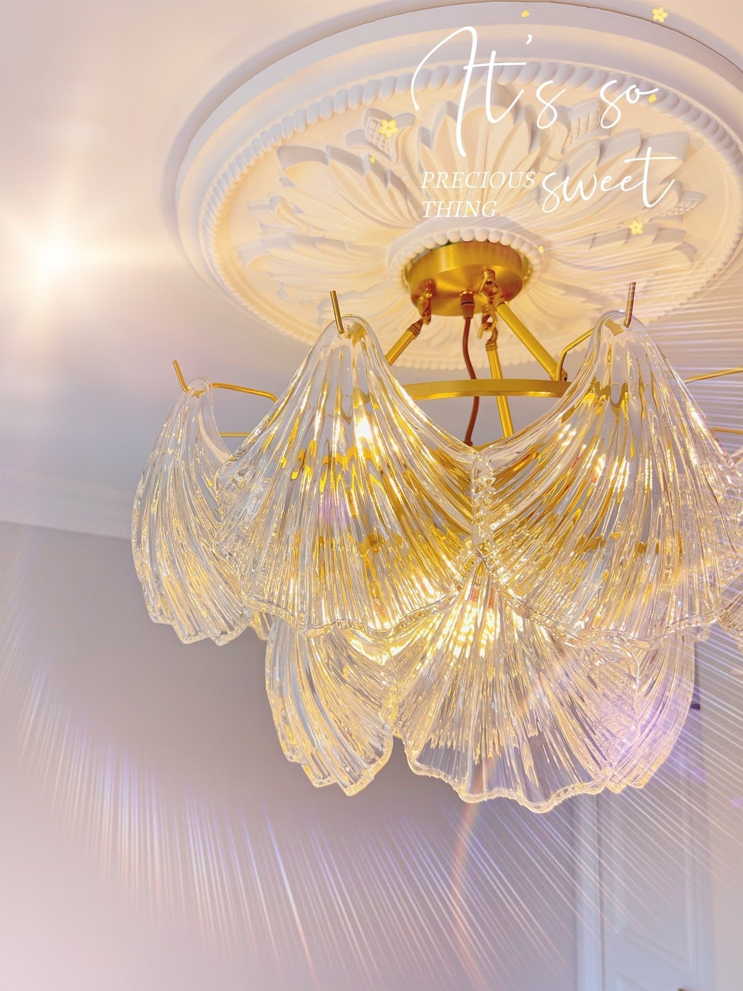 Ribbed Shell Ceiling light - Blowlighting