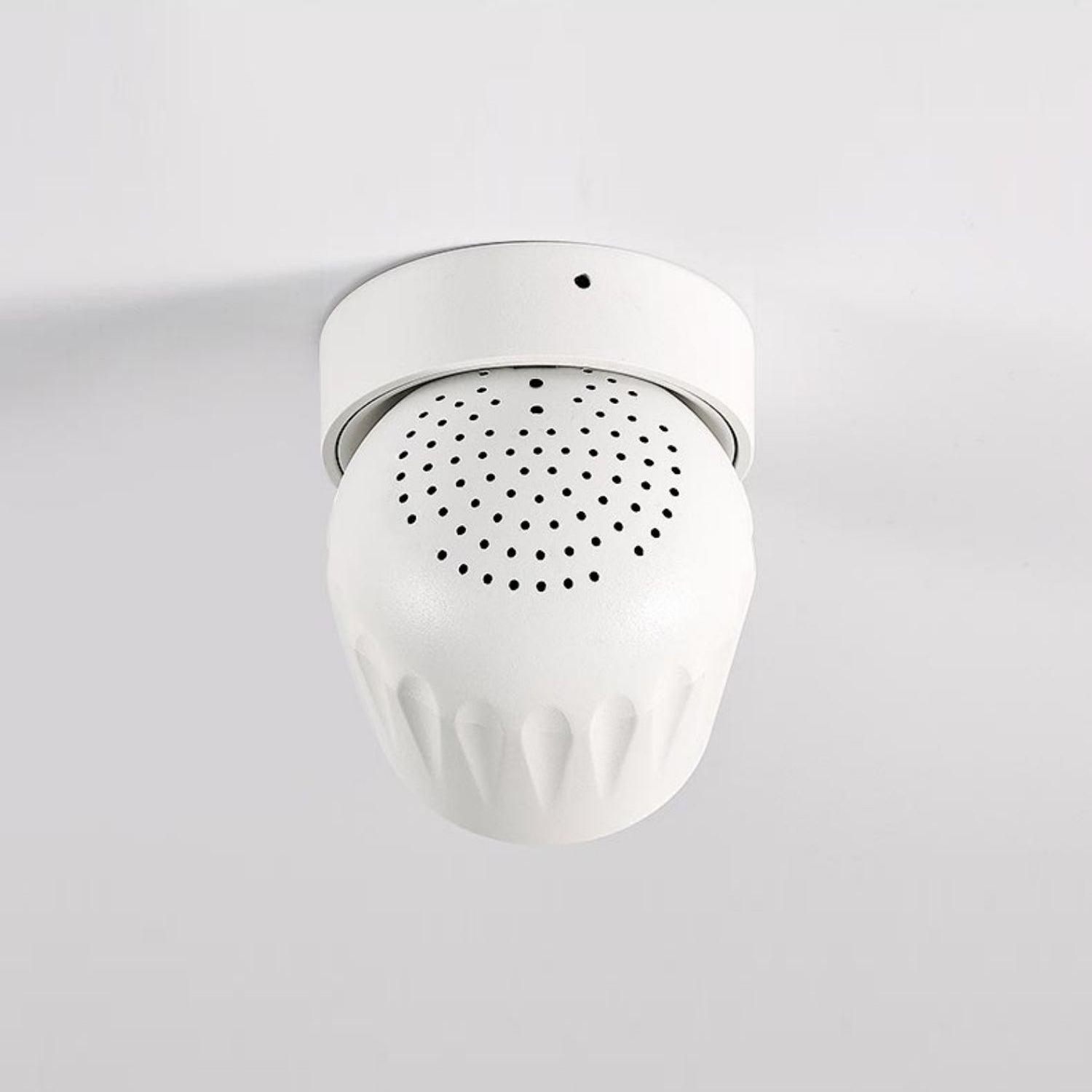 Rotatable Spotlight - Blowlighting