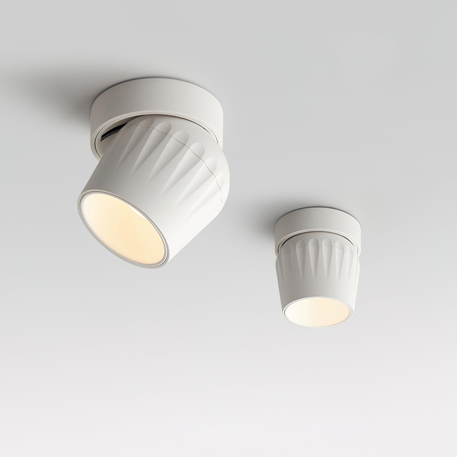 Rotatable Spotlight - Blowlighting