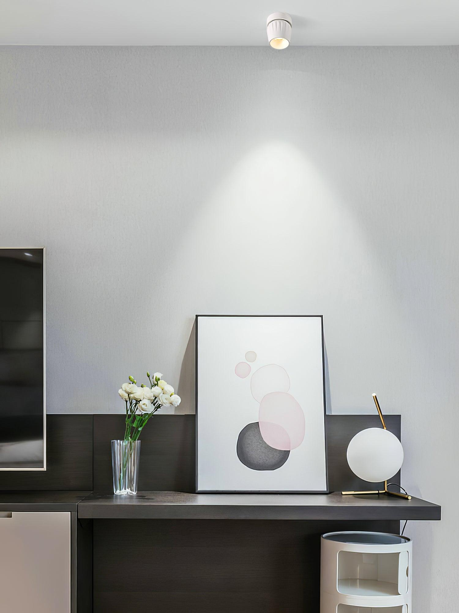 Rotatable Spotlight - Blowlighting