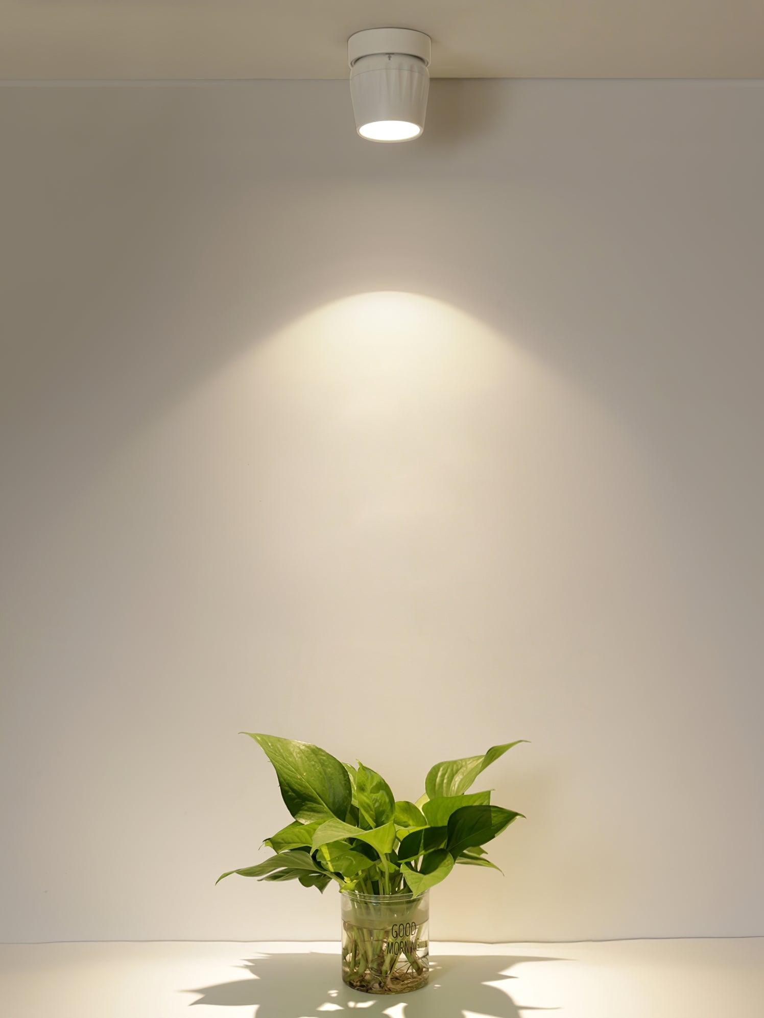 Rotatable Spotlight - Blowlighting