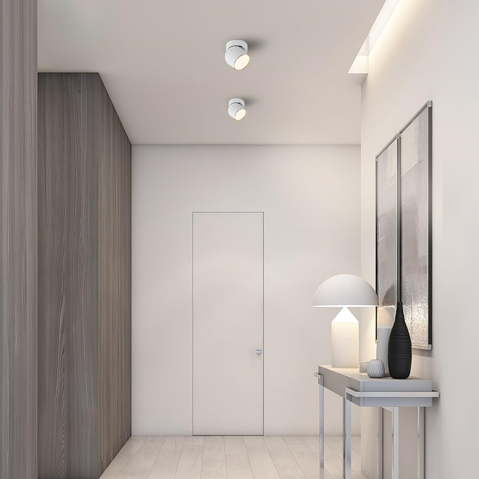 Rotatable Spotlight - Blowlighting