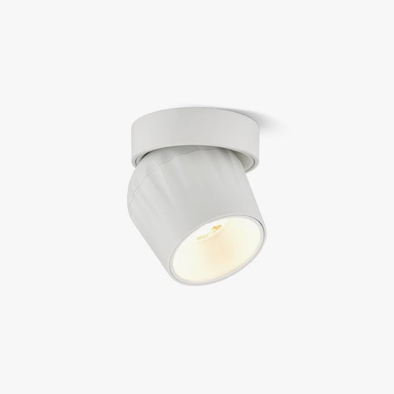 Rotatable Spotlight - Blowlighting