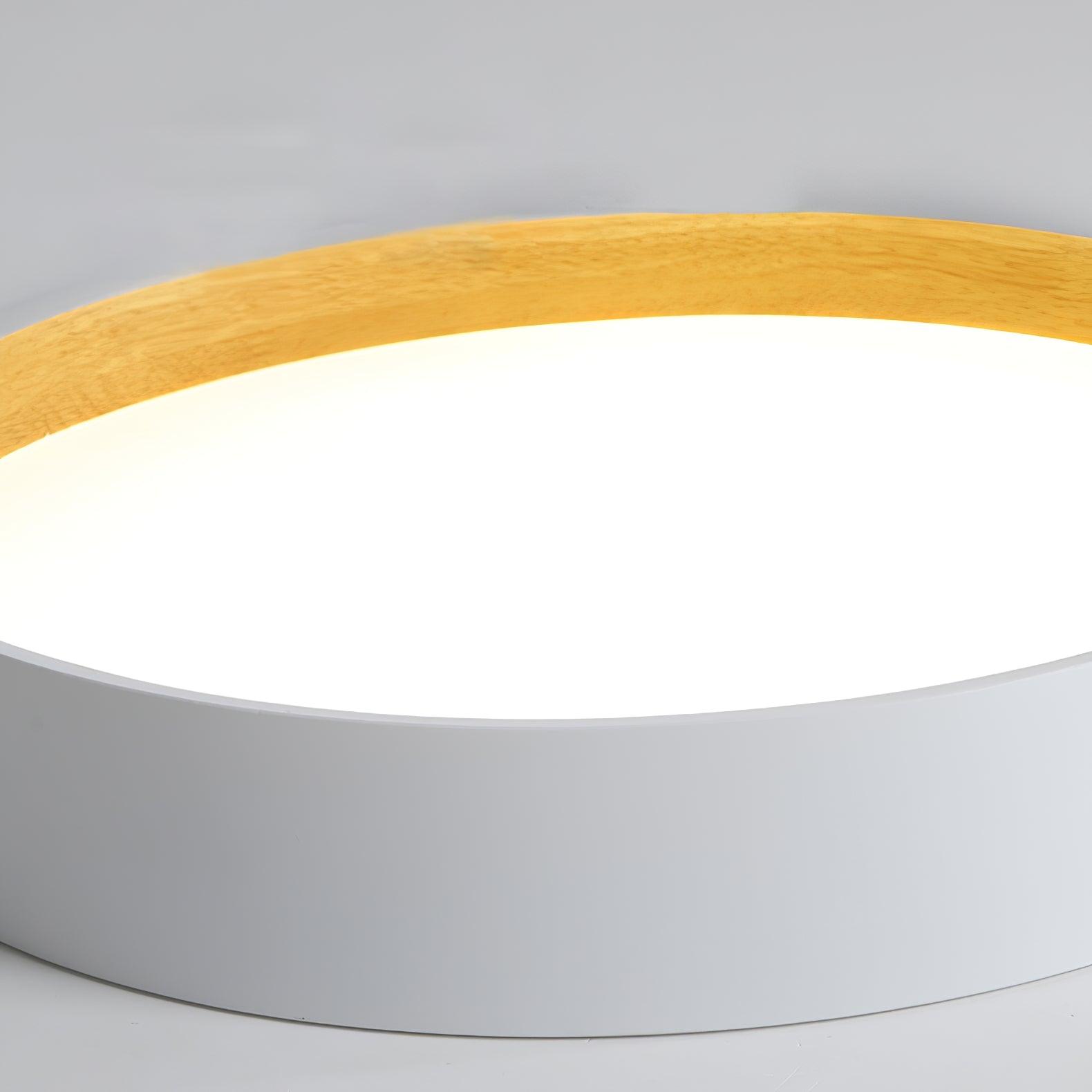 Elvenis Modern Minimalist Round Metal Ceiling Lamp